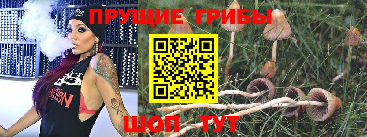 Псилоцибиновые грибы мухоморы Кстово