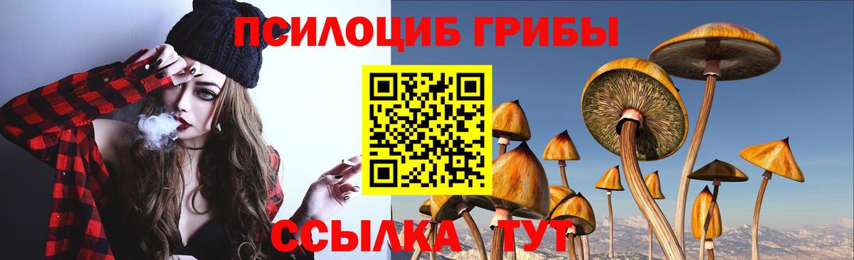 купить   Галлюциногенные грибы Psilocybine cubensis  Вход с VPN  Кстово 